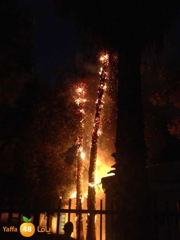 rashidiyafire609 (3).jpg